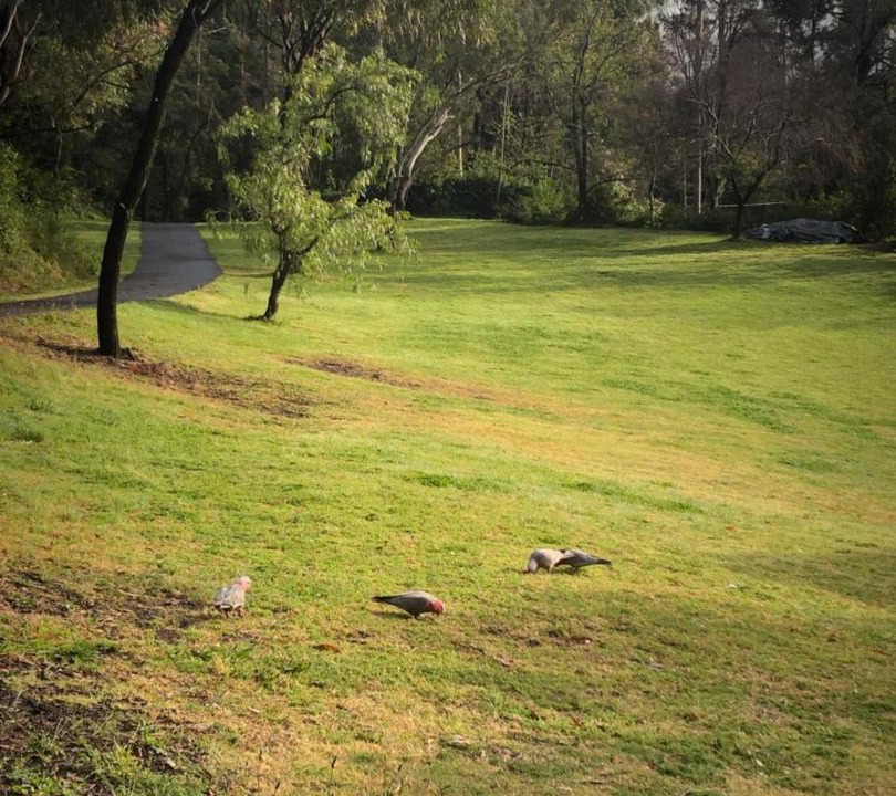 Photo of Others in Grose Vale