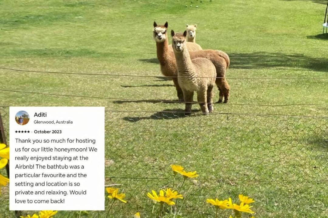 Photo of Others in Blackheath
