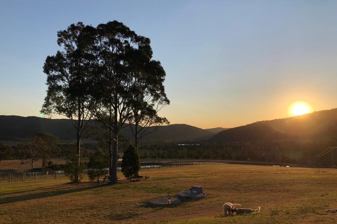 Photo of Others in Mount View
