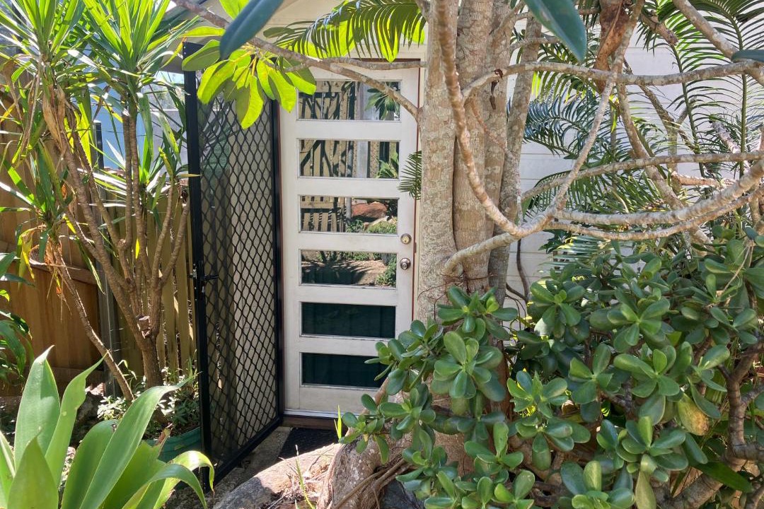 Photo of Others in Bellingen
