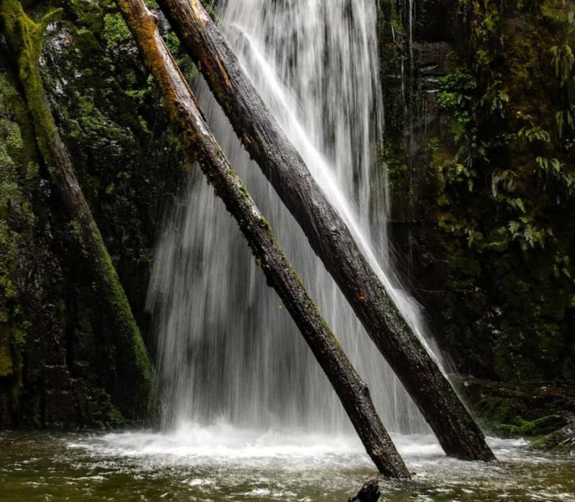 Photo of Others in Skenes Creek