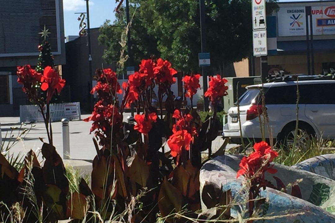 Photo of Others in Engadine