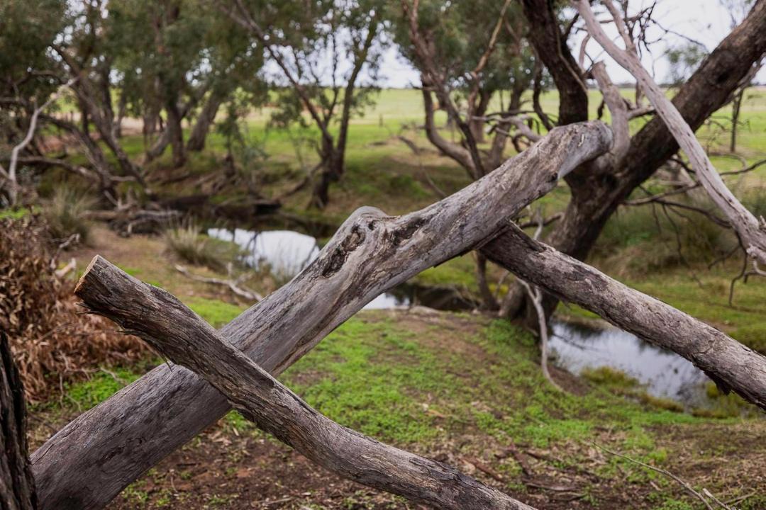Photo of Others in Brookton