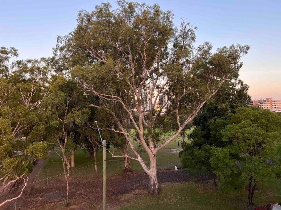 Photo of Others in Parramatta