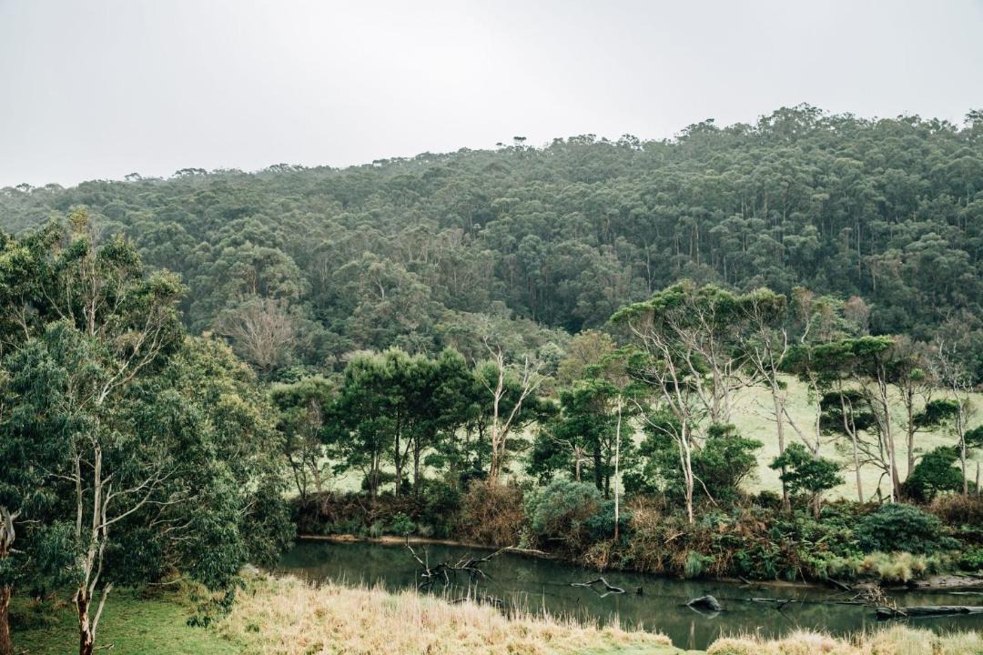 Photo of Others in Kennett River