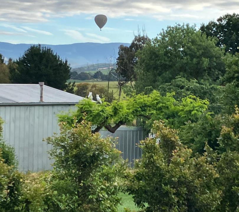 Photo of Others in Coldstream