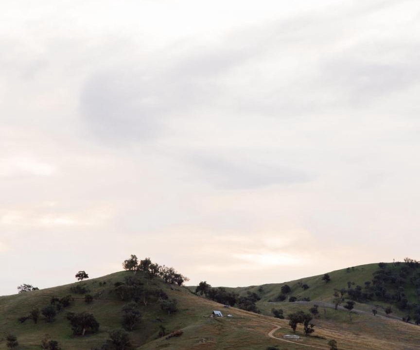 Photo of Others in Gundagai