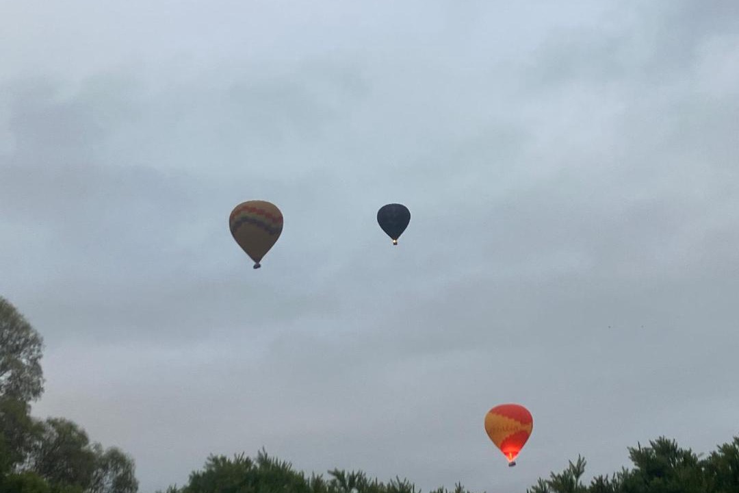Photo of Others in Coldstream