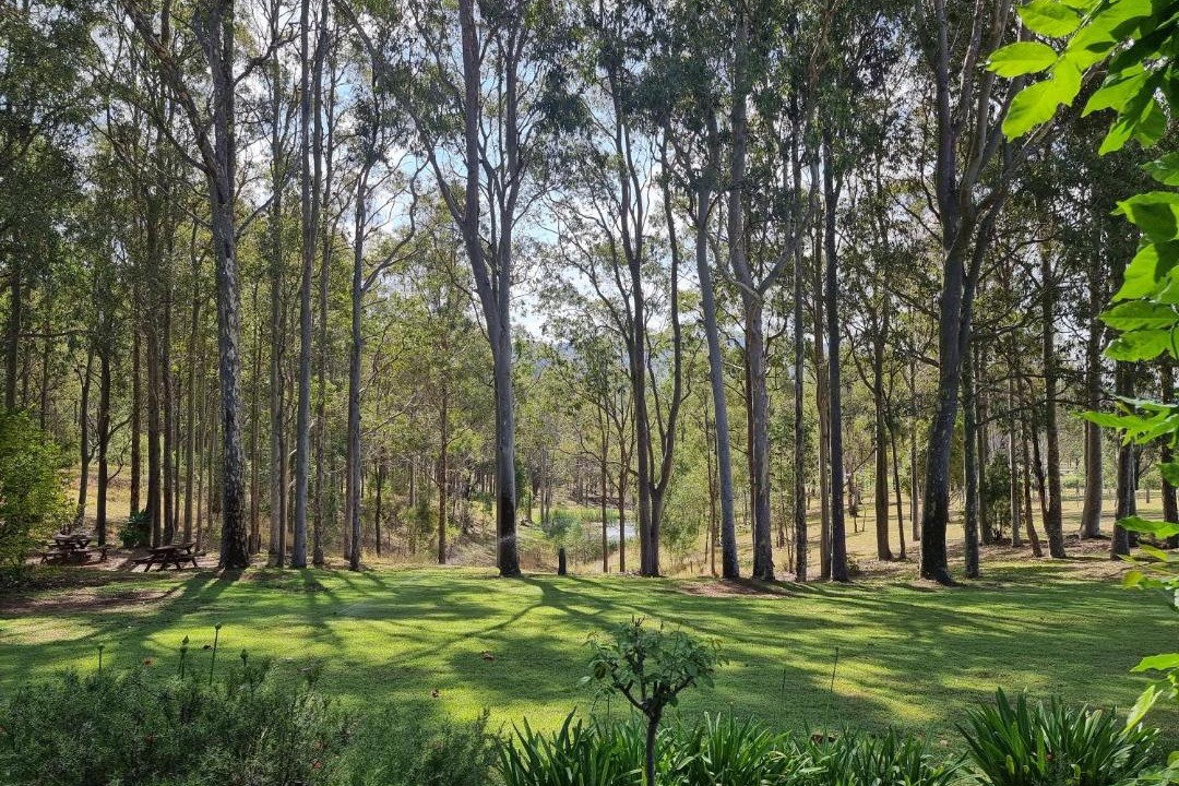 Photo of Others in Pokolbin