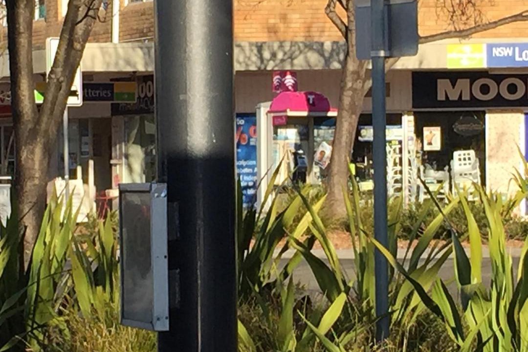 Photo of Others in Engadine