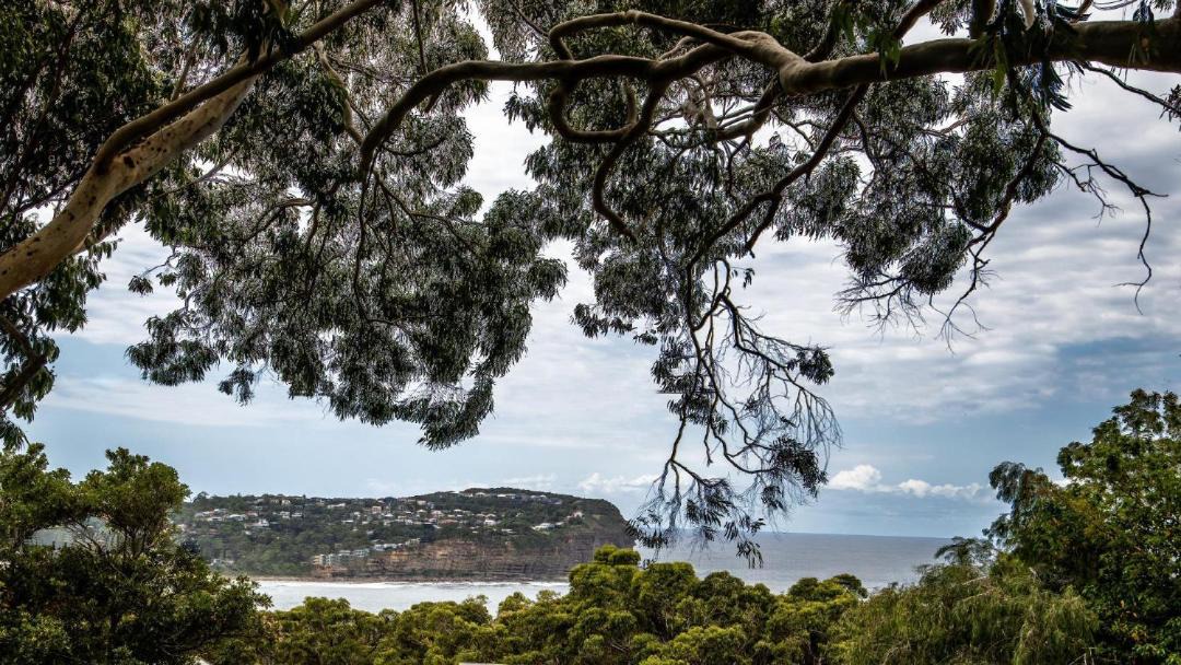 Photo of Others in Macmasters Beach