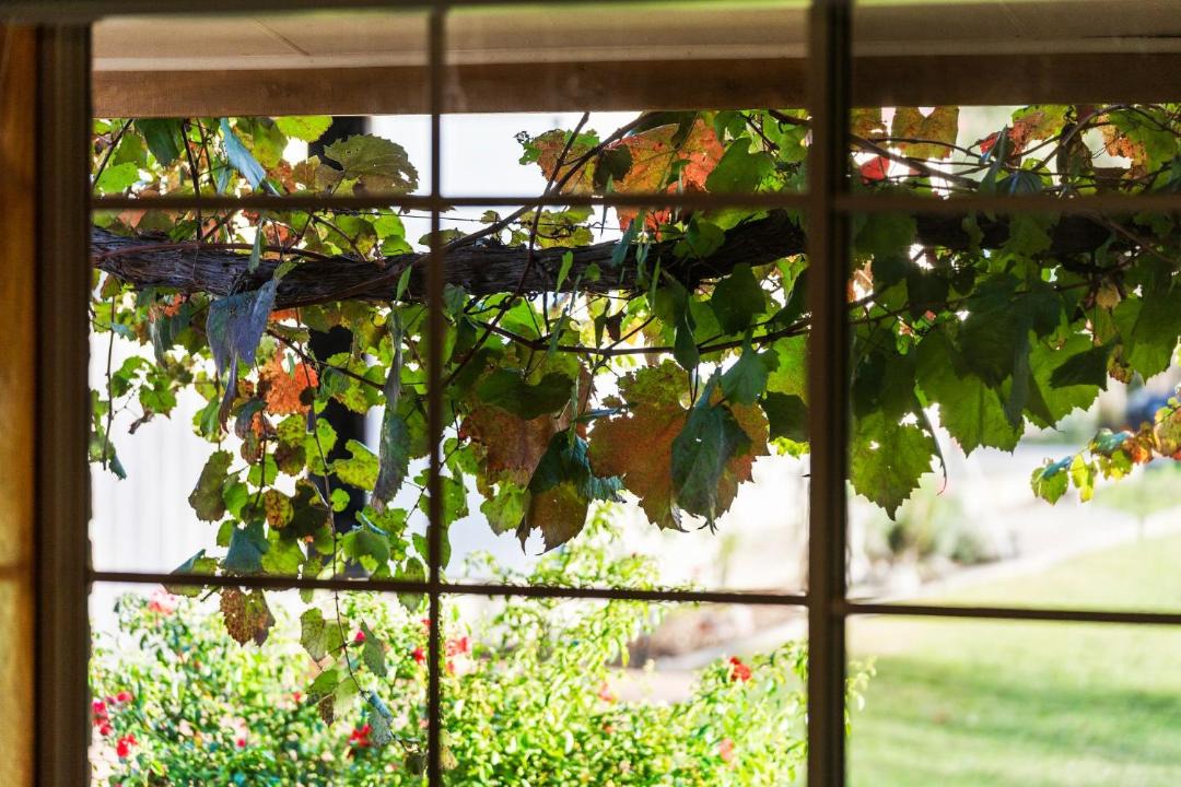 Photo of Others in Allandale