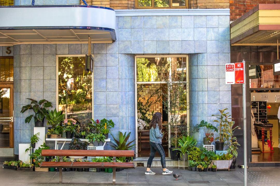 Photo of Others in Potts Point