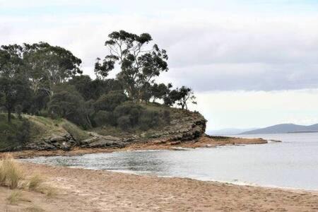 Photo of Others in Blackmans Bay