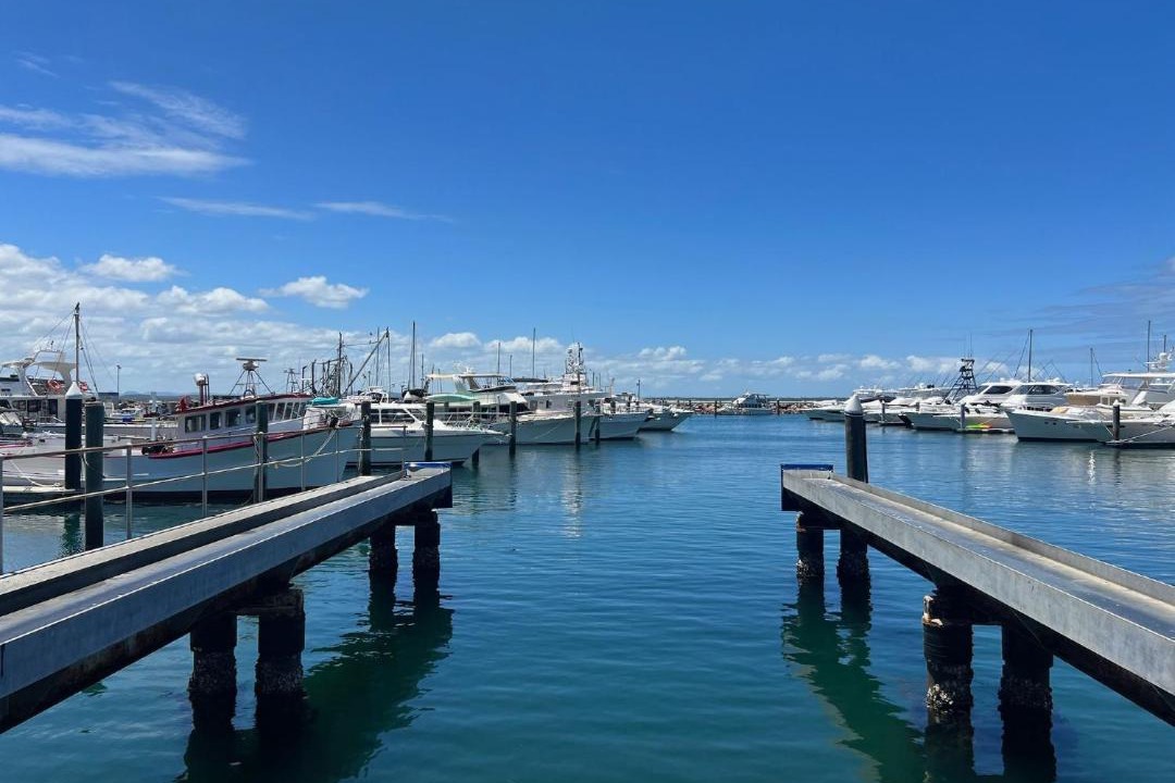 Photo of Others in Nelson Bay