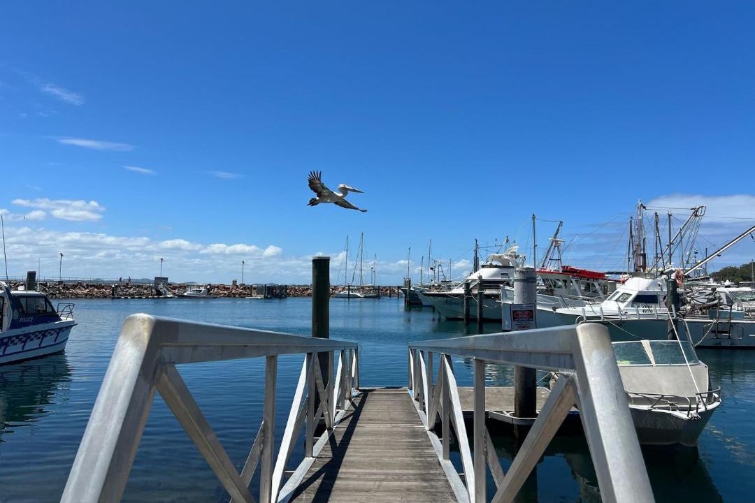Photo of Others in Nelson Bay