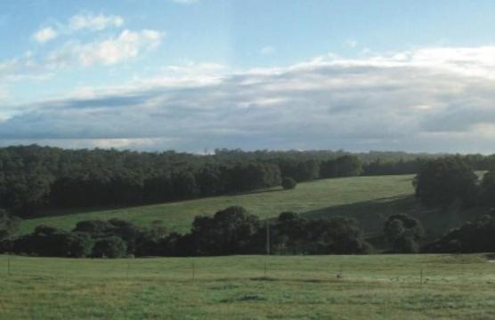 Photo of Others in Burnside