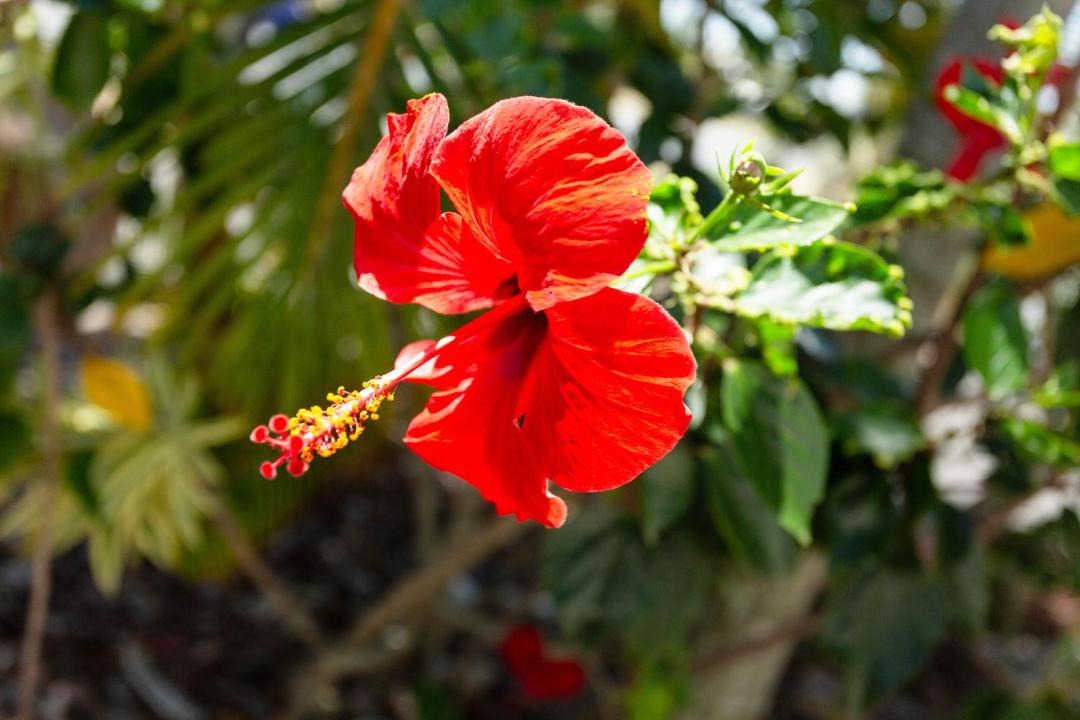 Photo of Others in Yeppoon