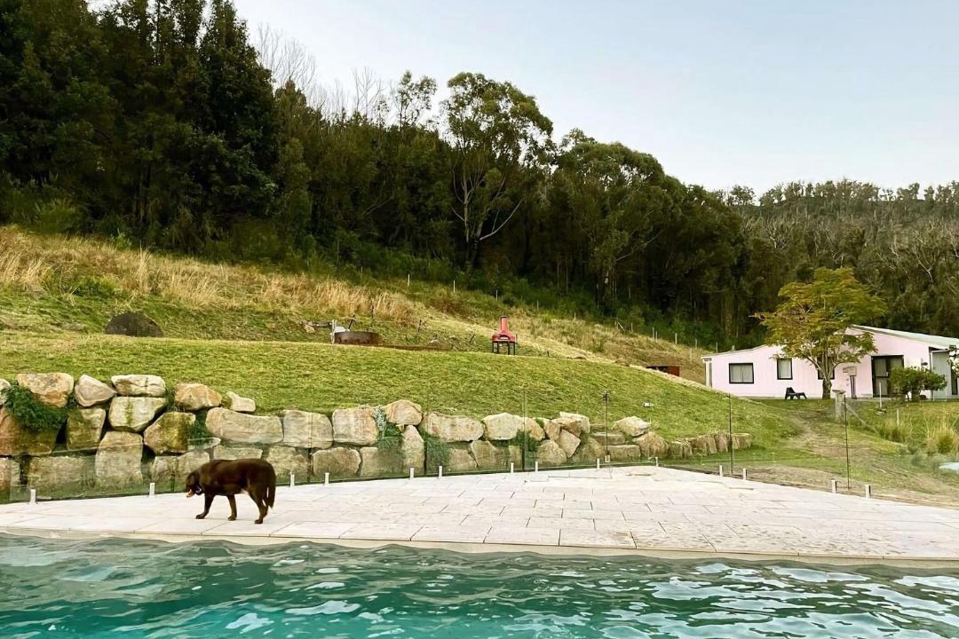 Photo of Others in Kangaroo Valley