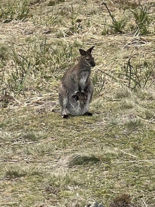 Photo of Others in Carlton River