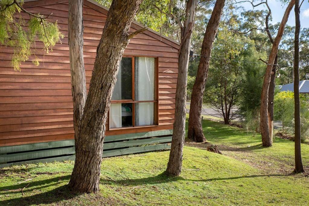 Photo of Others in Halls Gap