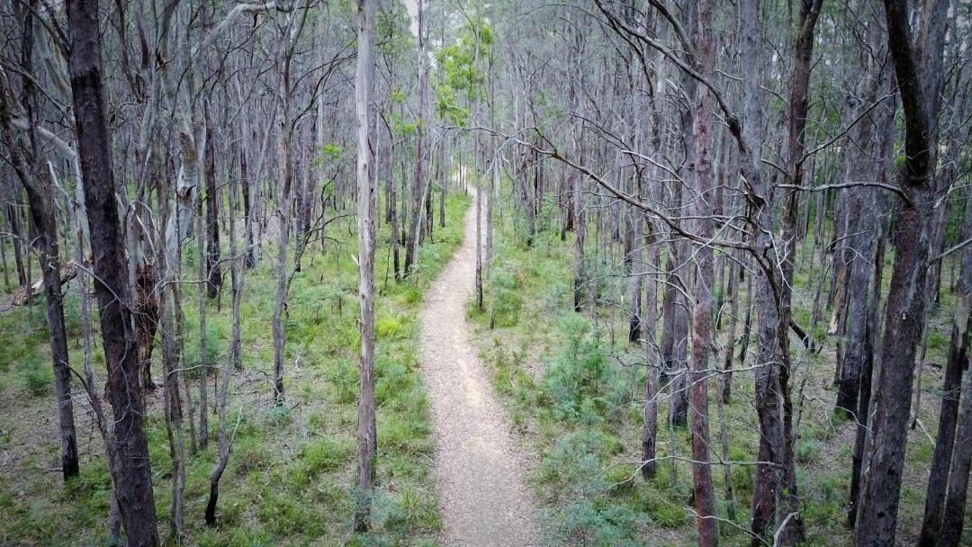 Photo of Others in Trentham