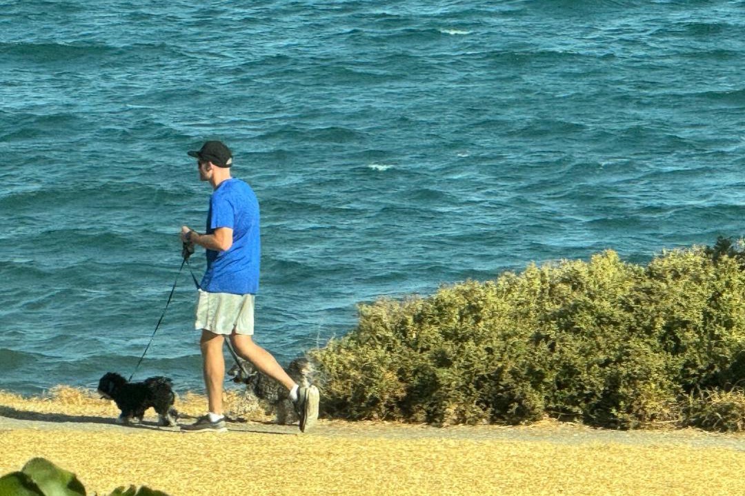Photo of Others in North Shore