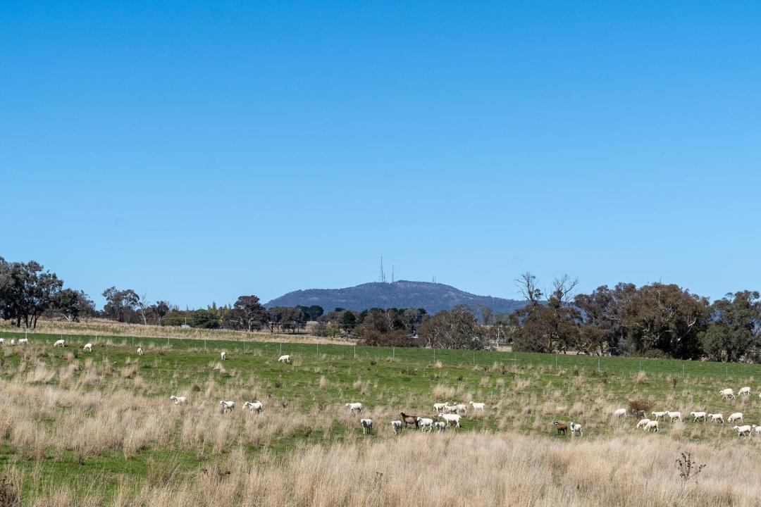 Photo of Others in Borenore