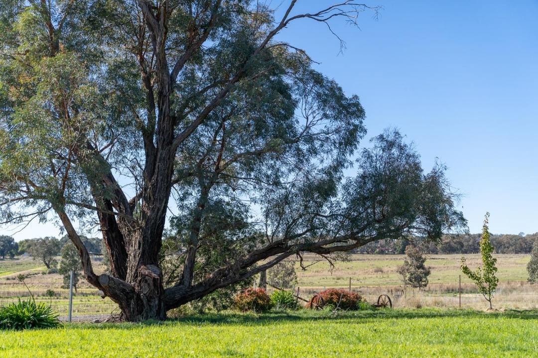Photo of Others in Borenore