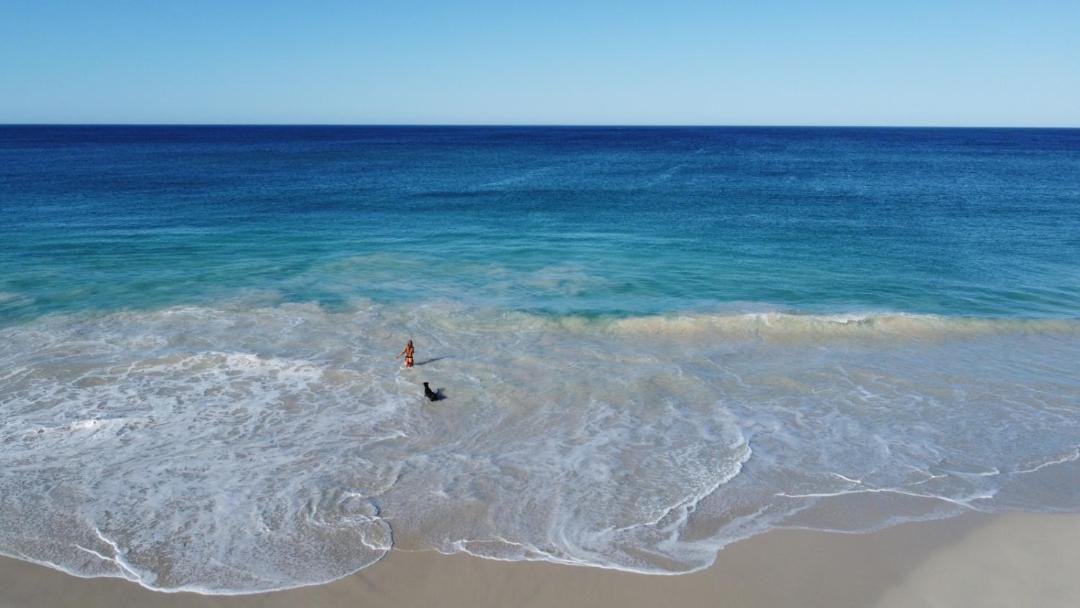 Photo of Others in Yanchep