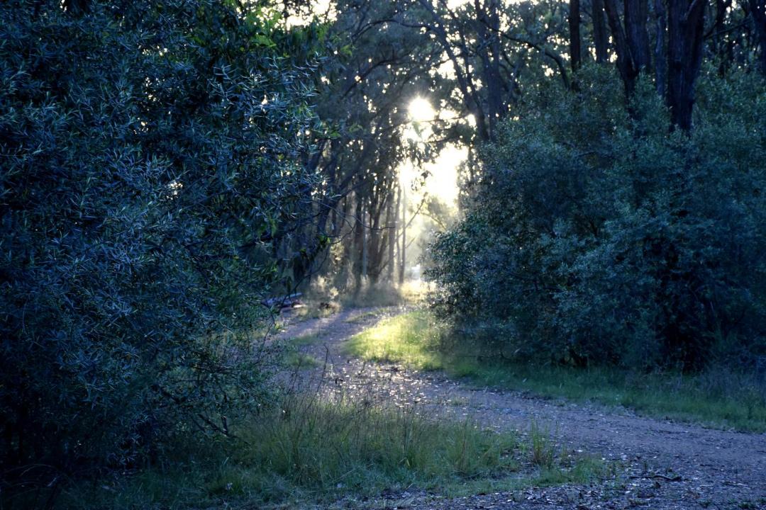 Photo of Others in Lower Belford