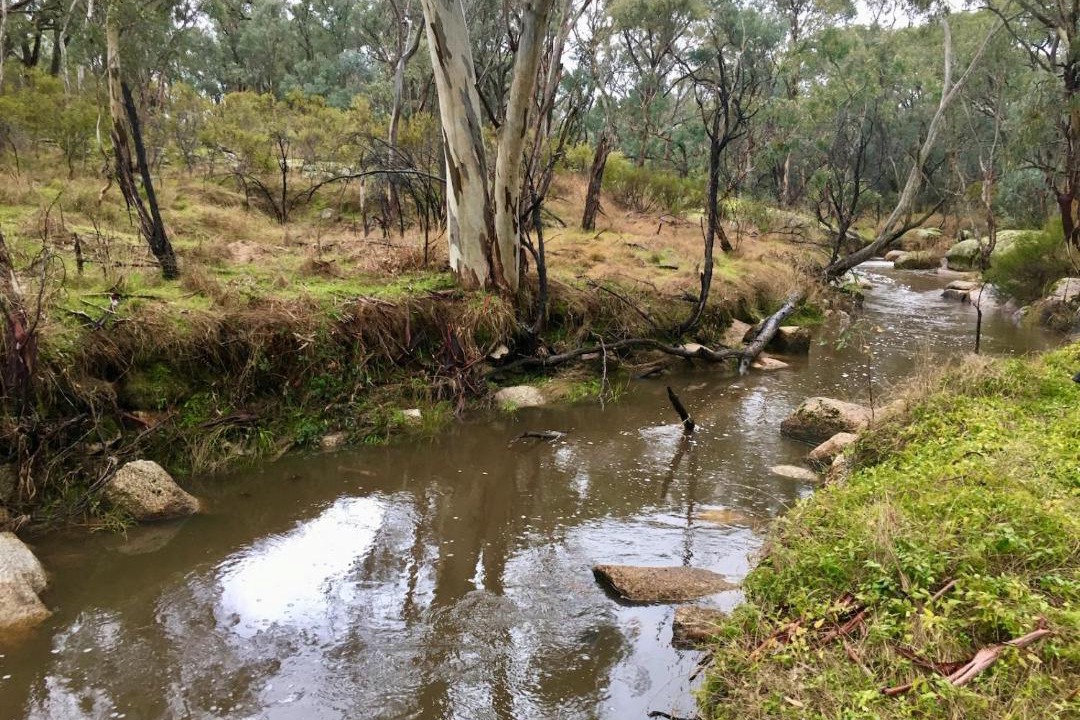Photo of Others in Wooragee