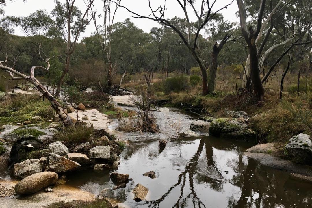 Photo of Others in Wooragee