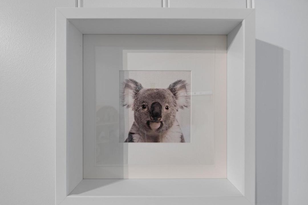Photo of Others in Surry Hills