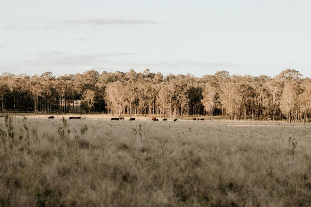 Photo of Others in Pokolbin
