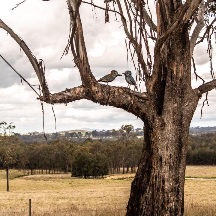 Photo of Others in Pokolbin