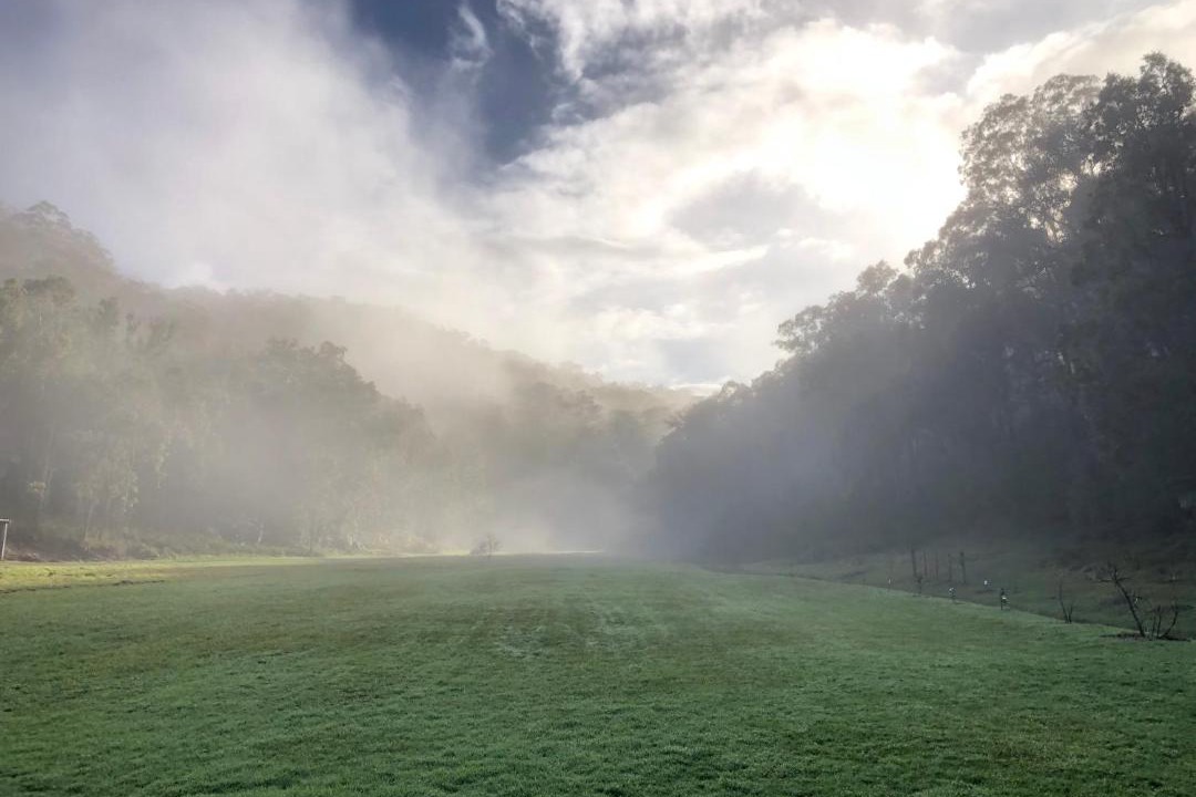 Photo of Others in Wollombi