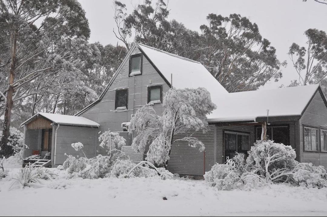Photo of Others in Dargan