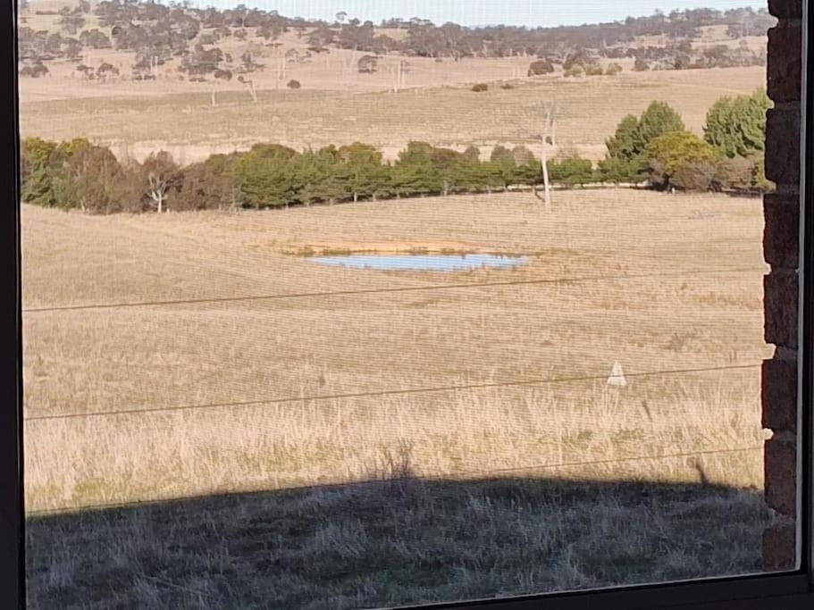 Photo of Others in Springrange