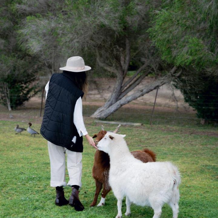 Photo of Others in Lakes Entrance