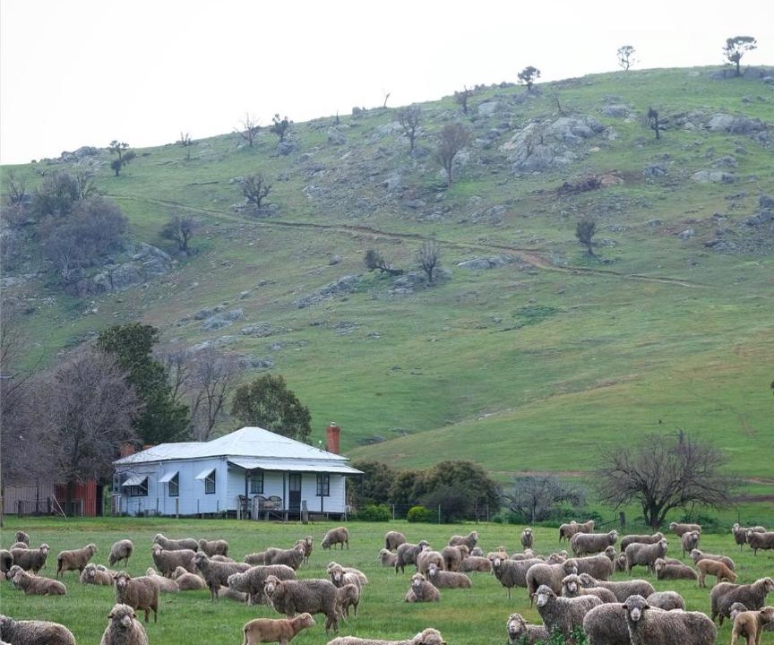 Photo of Others in Gundagai