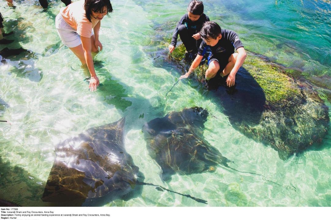 Photo of Others in Salamander Bay