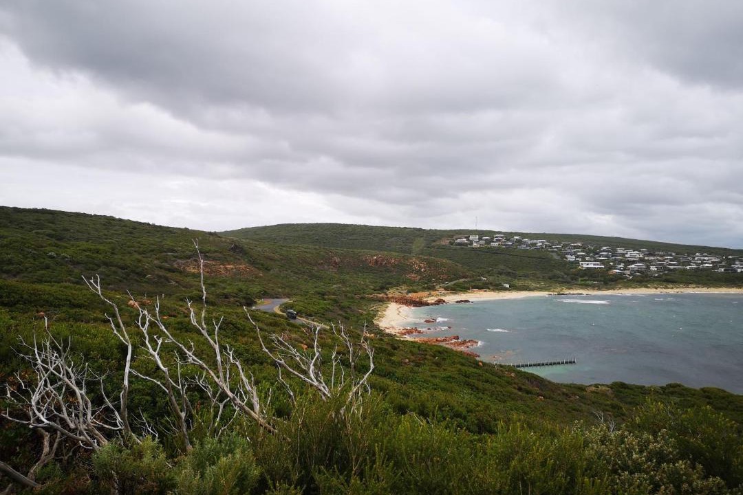Photo of Others in Gracetown