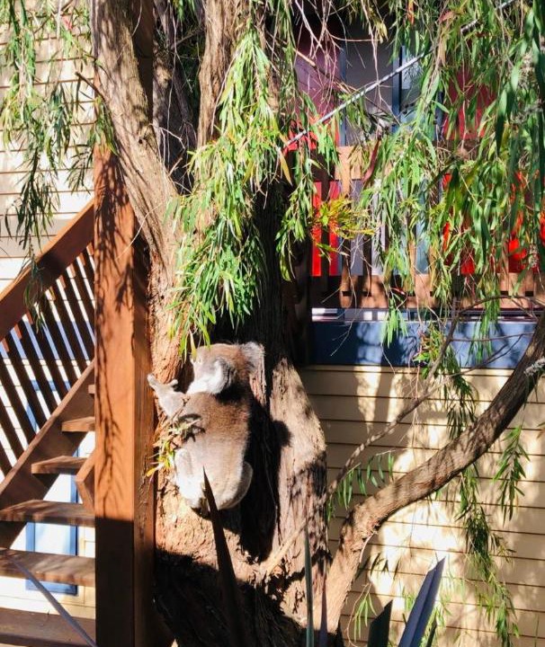 Photo of Patio Balcony in Apollo Bay
