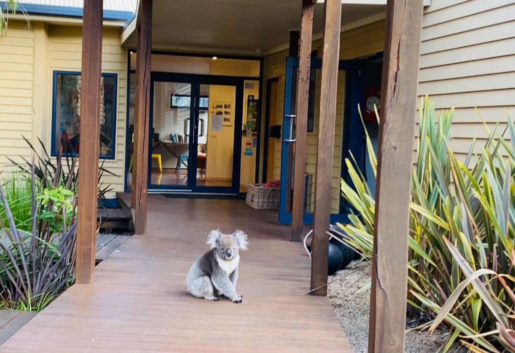 Photo of Others in Apollo Bay