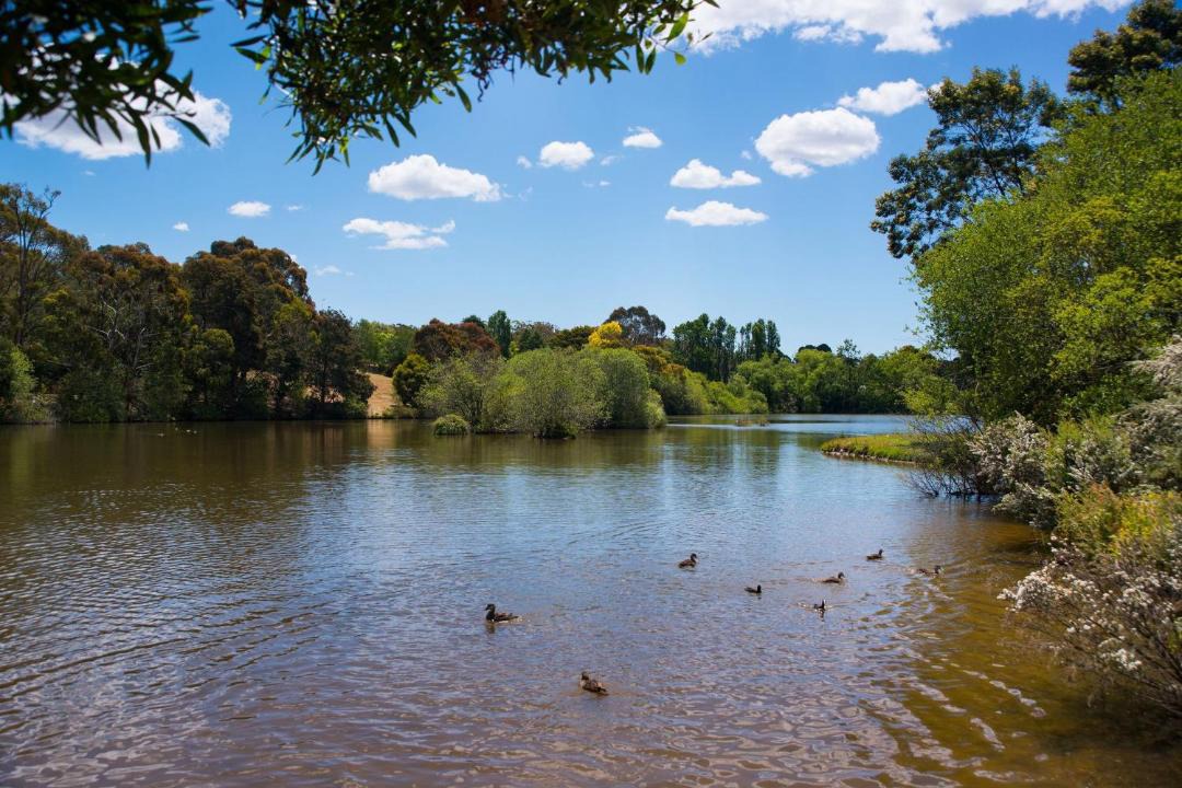 Photo of Others in Daylesford
