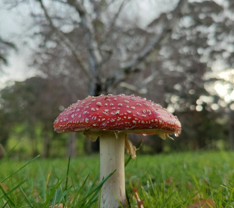 Photo of Outdoor in Shadforth