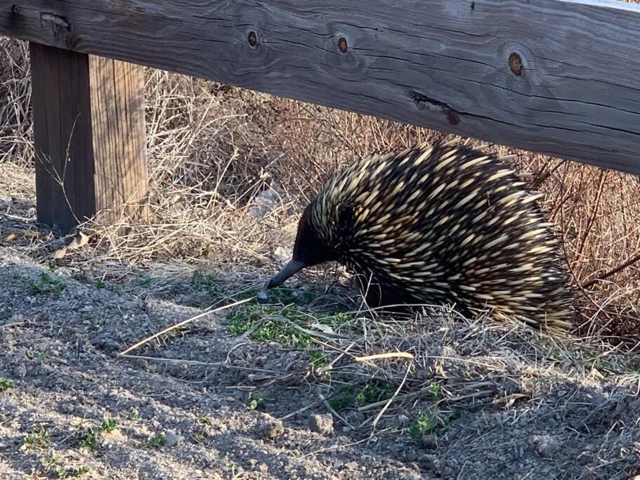 Photo of Others in Megalong Valley