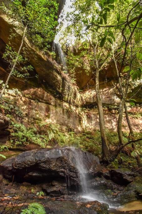 Photo of Others in Megalong Valley