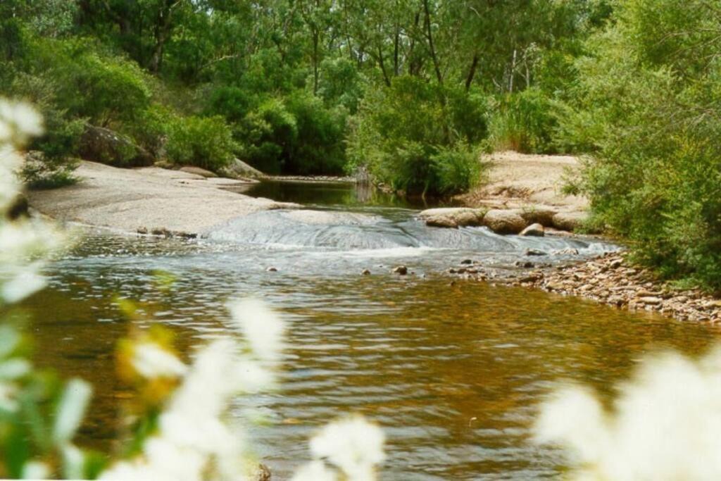 Photo of Others in Megalong Valley